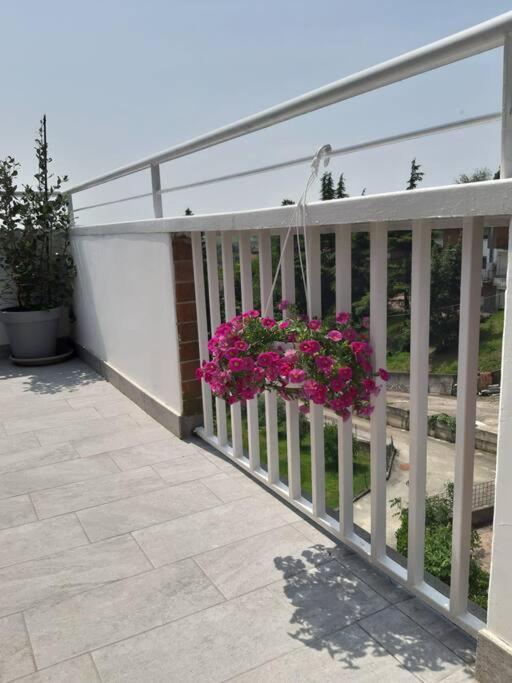 Casa Tra I Castelli Διαμέρισμα San Martino Alfieri Εξωτερικό φωτογραφία